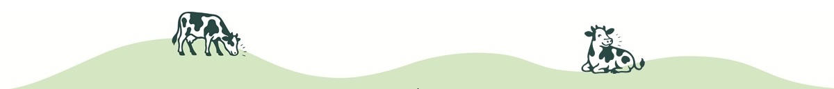 Footer Banner